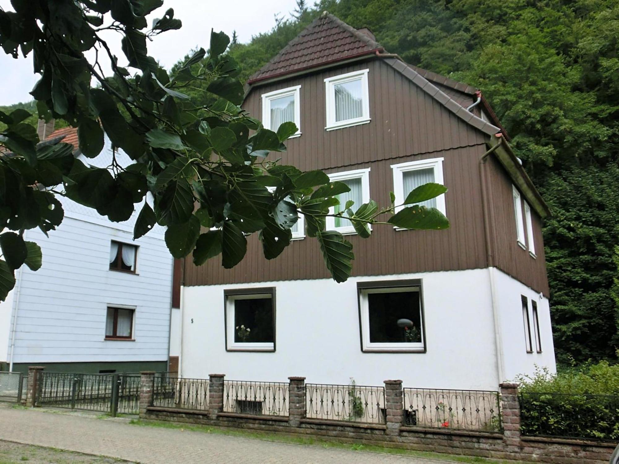 Spacious Group House In The Harz Region Zorge Exterior photo