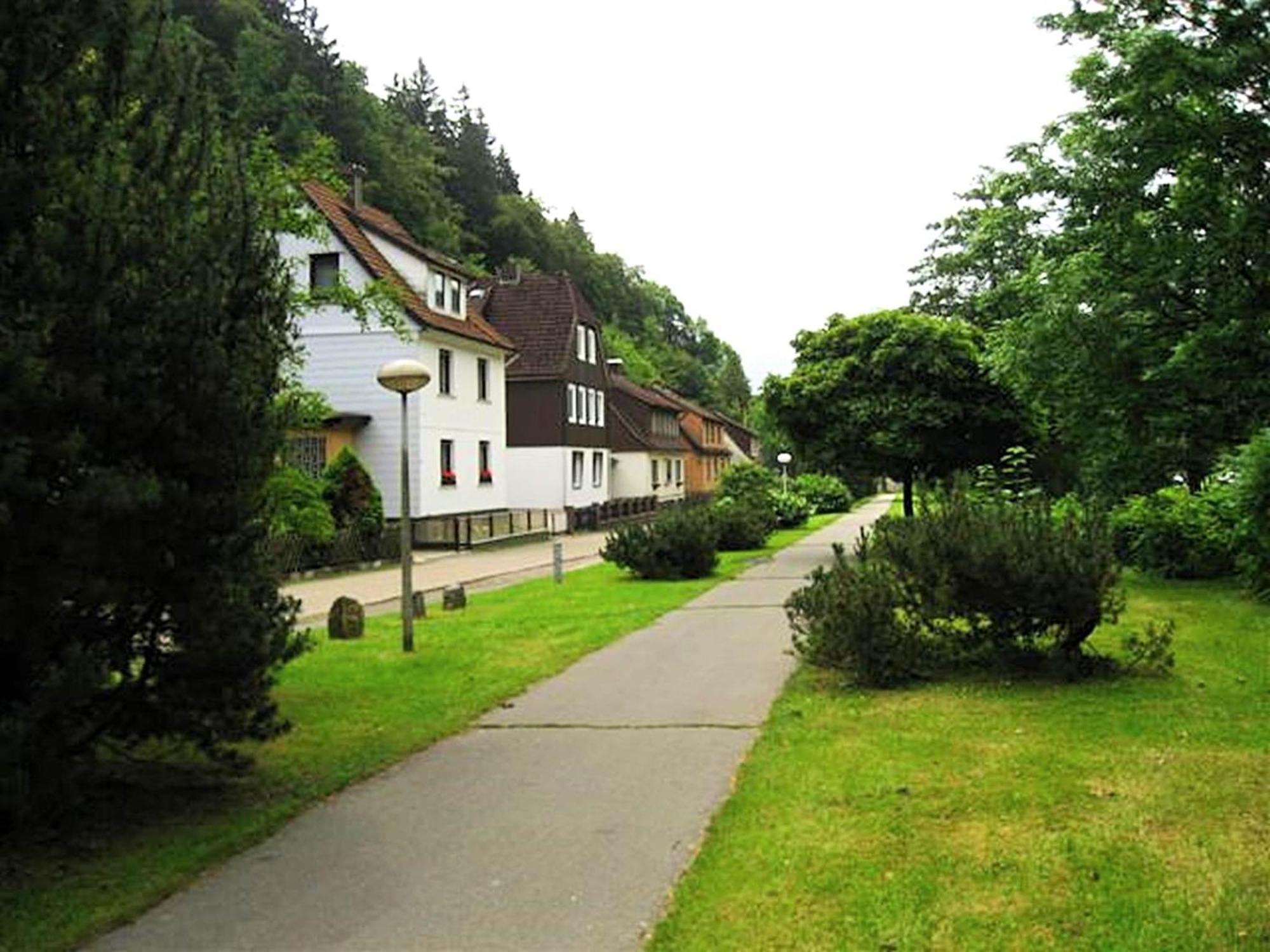 Spacious Group House In The Harz Region Zorge Exterior photo
