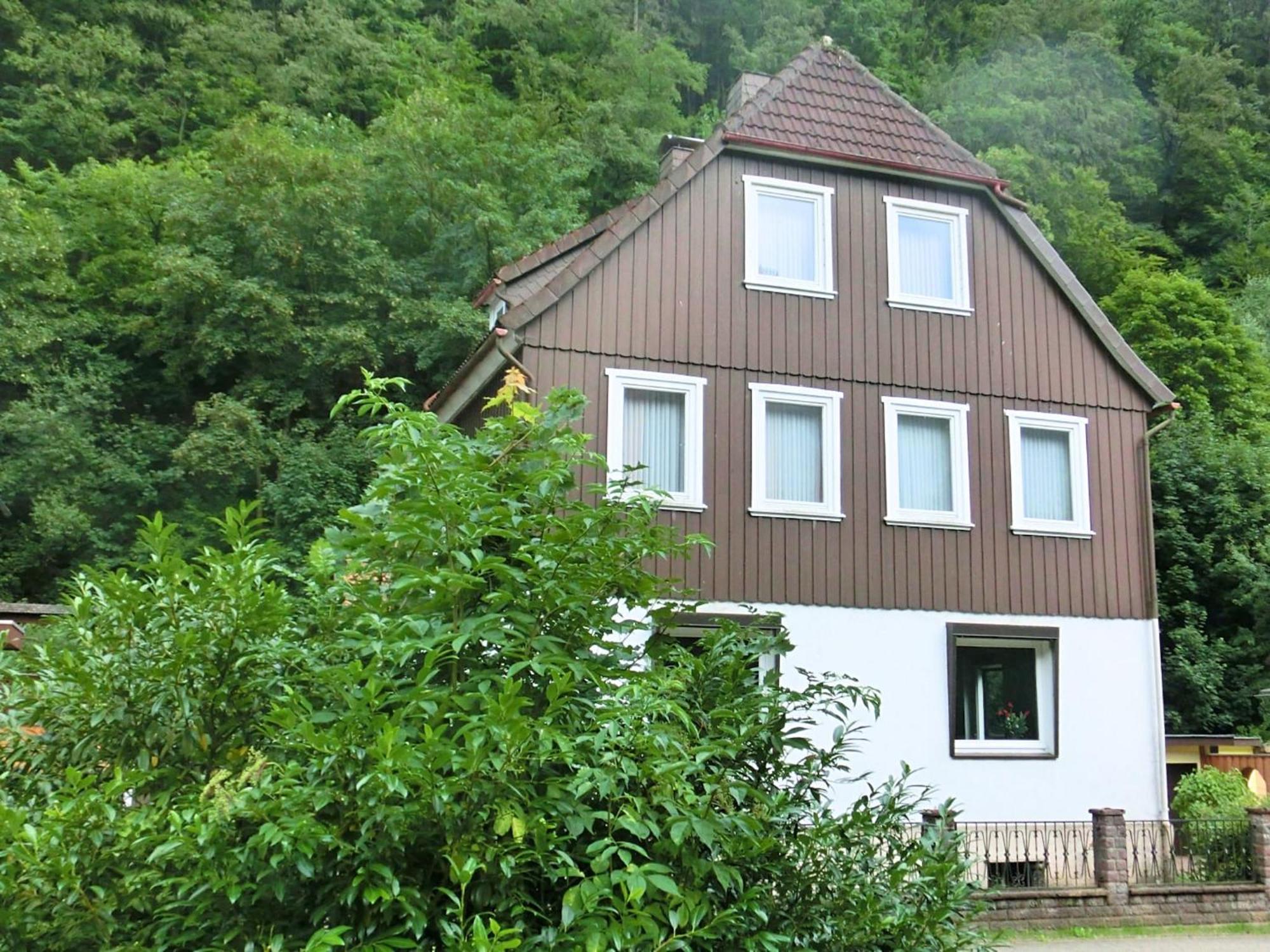 Spacious Group House In The Harz Region Zorge Exterior photo
